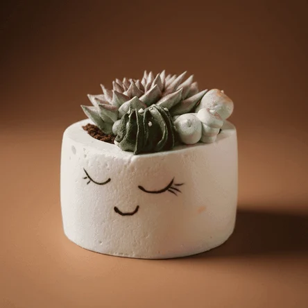 Десерт "Птичка"